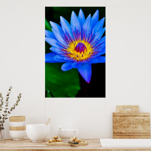 Sérénité - affiche (Cuisine)