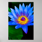 Sérénité - affiche (Devant)