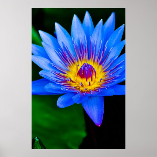 Sérénité - affiche (Devant)