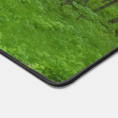 Sérénité de la forêt verte vibrante  (Coin)