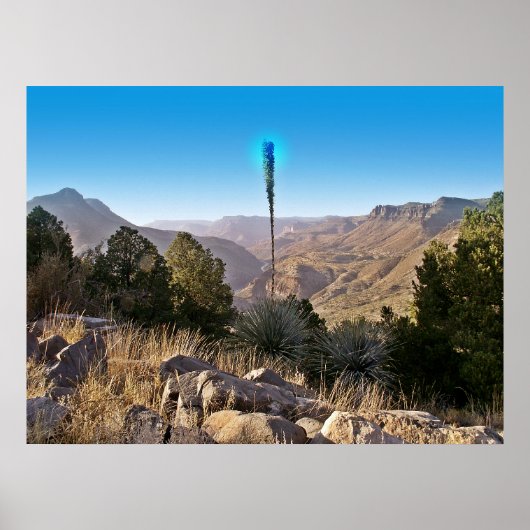 Sérénité - Poster (Devant)