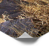 Sérénité - Poster (Coin)