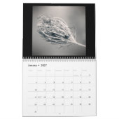 Sereniteit 12-maands kalender (Jan 2027)