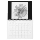 Sereniteit 12-maands kalender (Feb 2027)