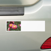 Sereniteit 1 bumpersticker (Op auto)