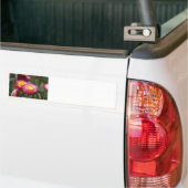 Sereniteit 1 bumpersticker (Op Truck)