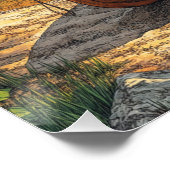 Sereniteit bij de vijver perfect poster (Hoek)