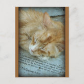 Sereniteit Briefkaart (Voorkant)