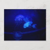 Sereniteit Briefkaart (Voorkant)