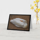 Sereniteit in het wit kaart (Gele Bloem)