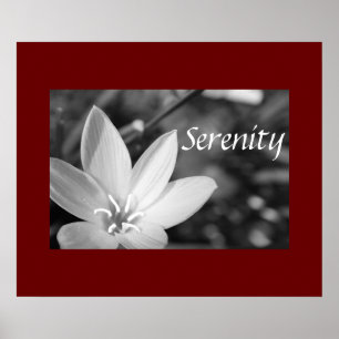 Sereniteit Poster