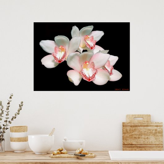 SERENITEIT POSTER (Keuken)