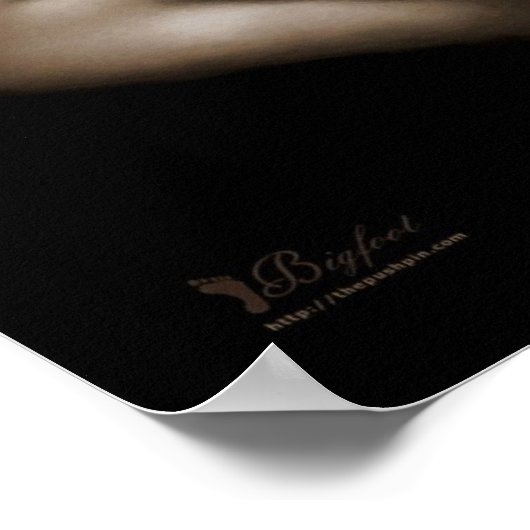 Sereniteit V2 Poster (Hoek)