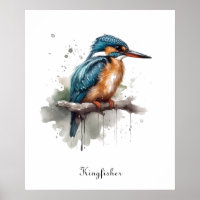 Sereniteit van de ijsvogel, aanpasbaar