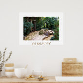 Sereniteit van TDGallery Poster (Keuken)