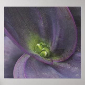 sereniteitsdruk poster