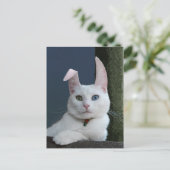 Serenity as Bunny briefkaart (Staand voorkant)