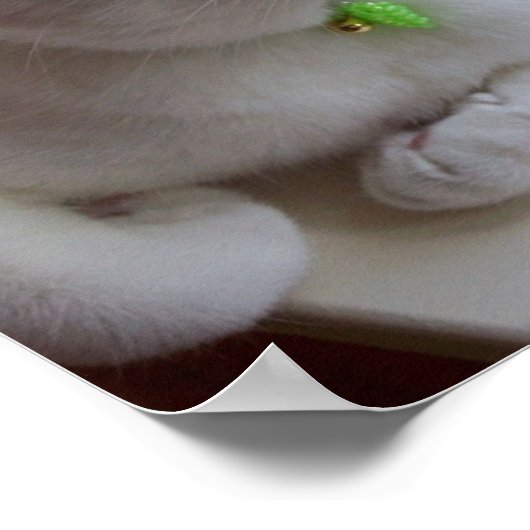 Serenity by Window poster (Coin)