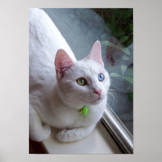 Serenity by Window poster (Devant)