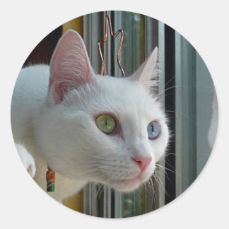 Serenity geïnteresseerde sticker