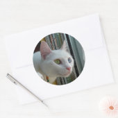 Serenity geïnteresseerde sticker (Envelop)
