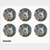Serenity geïnteresseerde sticker (Vel)