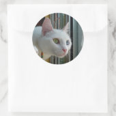 Serenity geïnteresseerde sticker (Tas)