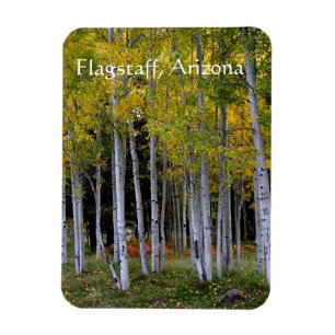 Serenity in Gold and Green Aspen's Flagstaff Magneet