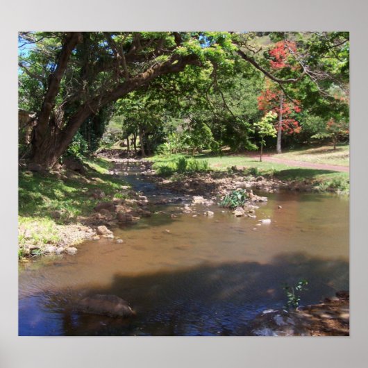 Serenity Poster (Voorkant)