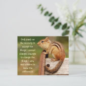 Serenity Prayer Chipmunk Briefkaart (Staand voorkant)