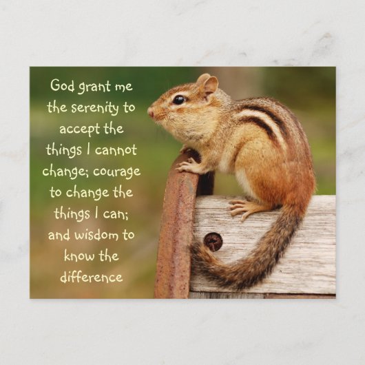 Serenity Prayer Chipmunk Briefkaart (Voorkant)