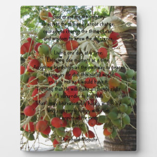 Serenity Prayer Fotoplaat