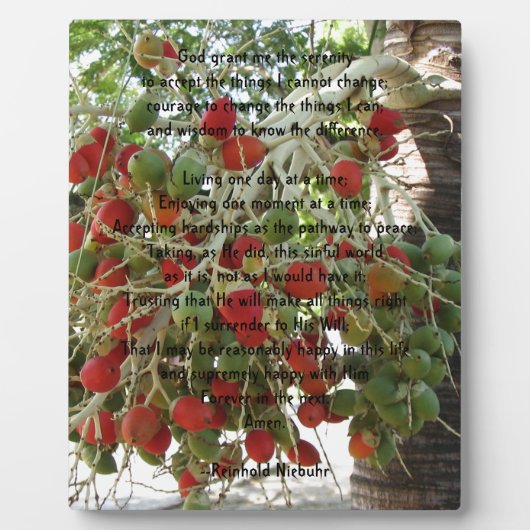 Serenity Prayer Fotoplaat (Voorkant)