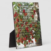 Serenity Prayer Fotoplaat (Zijkant)