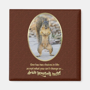 Serenity Prayer in a Nutshell Magneet