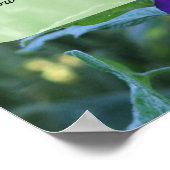 Serenity Prayer Morning Glory Inspirerend Poster (Hoek)