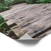 Serenity Prayer Poster (Hoek)