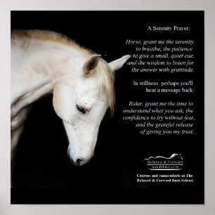 Serenity Prayer Poster voor Paarden en Mensen