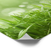 Serenity Prayer - Spring. Poster (Hoek)