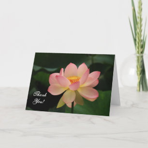 Serenity Roze Lotus Flower Boeddhist Bedankt
