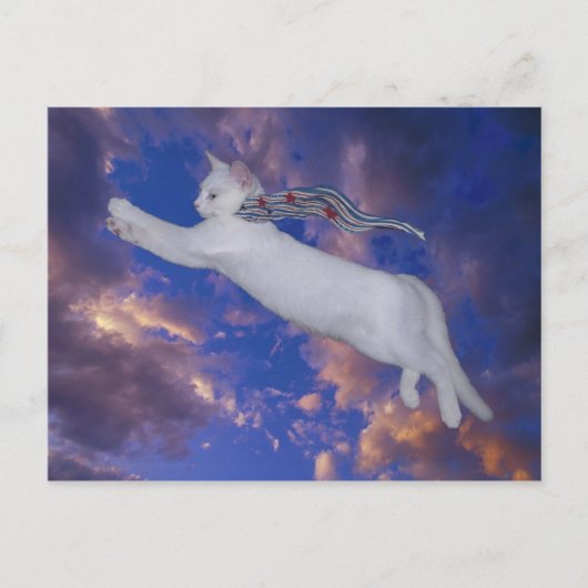 Serenity s'envole Carte postale (Devant)