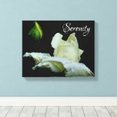 Serenity White Rosebud Inspirerend Words Canvas Afdruk (Insitu (Houten vloer))