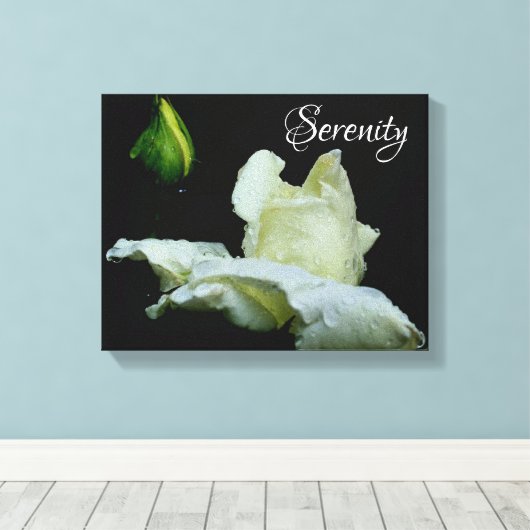 Serenity White Rosebud Inspirerend Words Canvas Afdruk (Insitu (Houten vloer))