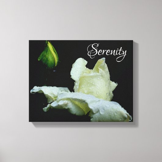 Serenity White Rosebud Inspirerend Words Canvas Afdruk (Voorkant)