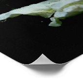 Serenity White Rosebud Inspirerend Words Poster (Hoek)