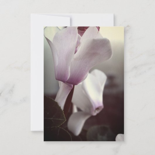 Serez-vous ma carte postale fleurie fleurie (Dos)