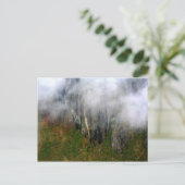 Série Andes : Carte postale (Debout devant)