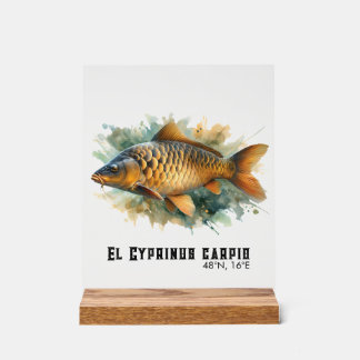 Série Aquarelle : Carpe