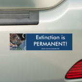 Série Bumper Sticker TIGERS EN DANGER (En voiture)