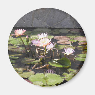 Série de bouquets de la nature : aimant d'été